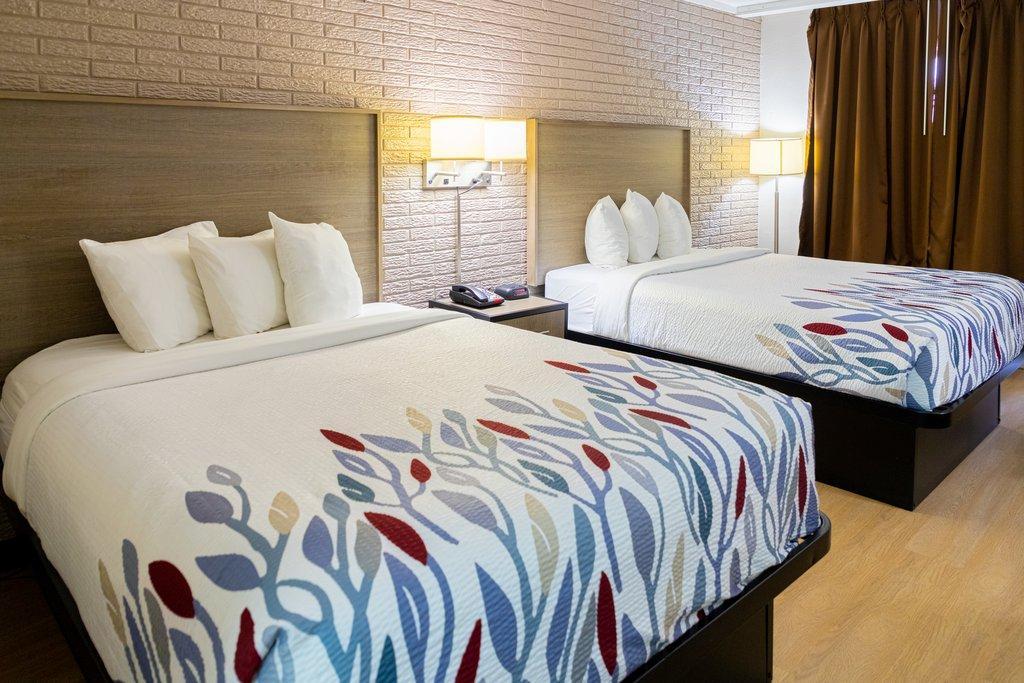 Red Roof Inn Savannah - Richmond Hill I-95 エクステリア 写真